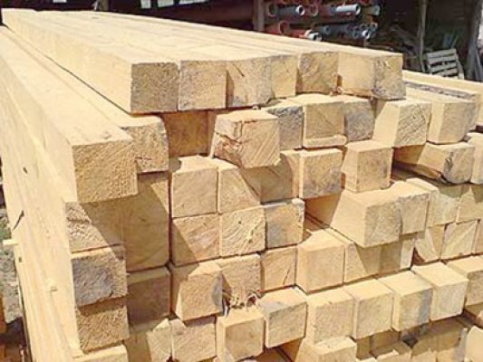 Varga: După aplicarea Codului Silvic, lemnul va avea un preţ real